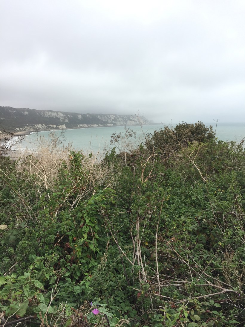 2DEBA471-7F38-4D38-8DDE-597A3C946E25